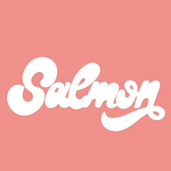 salmon hand drawn lettering isolated template vector