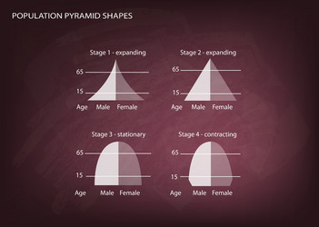 Four types of population pyramids Royalty Free Vector Image