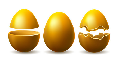 golden eggshell vector