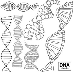 Set with a dna structure hand-drawn vector