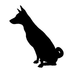 Basenji Dog Silhouette Vector Image