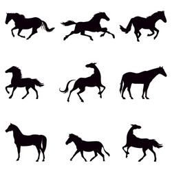 Horse Silhouettes - Black Collection Vector Image