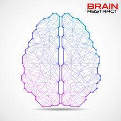 polygonal abstract brain with connected lines vector image