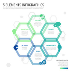 abstract 5 elements hexagonal infographic design vector image