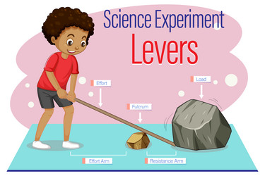 Levers simple machine science experiment Vector Image