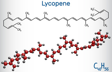 Lycodine Lycopene molecule structural chemical formula Vector Image
