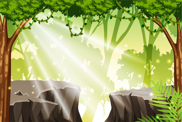 Tropical rainforest jungle Royalty Free Vector Image