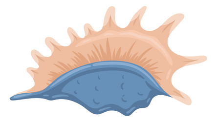 Seashell character with smile on face marine Vector Image