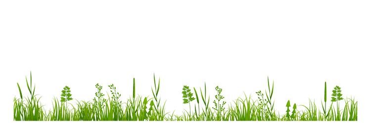 horizontal grass border green meadow plants vector