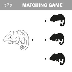 iguana with different shadows to find correct one vector image