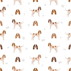 italian pointer seamless pattern different poses vector image