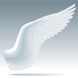 Wing Vector Images (over 390,000)
