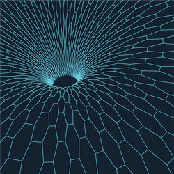 wireframe torus with connected lines and dots vector image