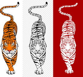 Tiger Tattoo Vector Images (over 7,700) Tiger Tattoo Vector Images (over 7,700)