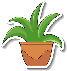 Sticker template with plant in a pot isolated vector