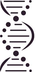 dna molecule structure with lines and circles vector image