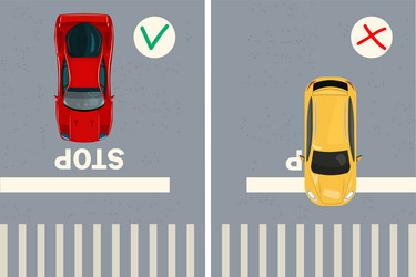 Car at the stop line rule vector