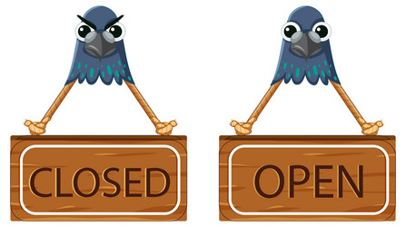 Closed and open sign banner with raccoon face Vector Image
