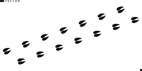 sika deer footprints Vector Image