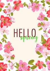 Hello spring sakura flowers design vector