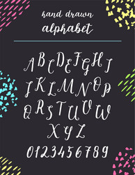 Script font alphabet written with a brush vector