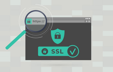 website with safe https ssl certificate encryption vector