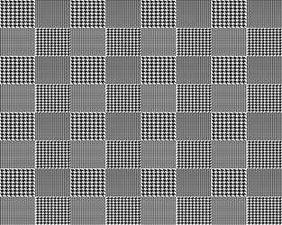 Houndstooth Fabric Pattern vector image