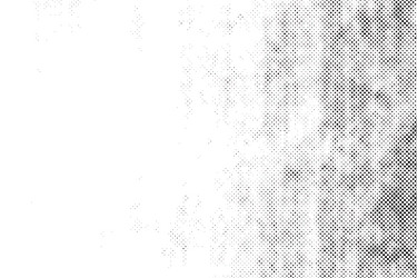 black dots pattern abstract halftone texture vector image