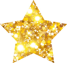 Gold luxury fashion shiny star vector