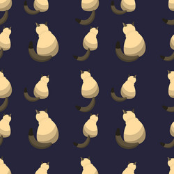 Seamless pattern of sitting cats siamese breed vector