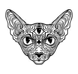 cat sphinx patterned third eye vector