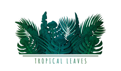 Tropical Palm Leaves - Exotic Foliage Vector Image