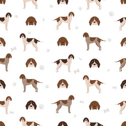 old danish pointer seamless pattern different vector image