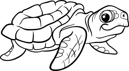 Baby Sea Turtle Clip Art Black And White
