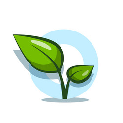 plant symbol with green leaves design isolated vector