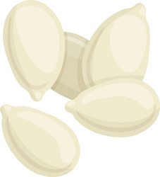 Gourd or pumpkin seeds in shell isolated heap vector