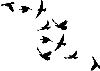 Flying Bird Silhouette - Flock Vector Image