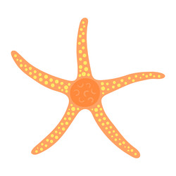 Pink beach starfish Royalty Free Vector Image - VectorStock