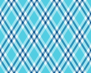 striking diagonal plaid pattern in refreshing vector image