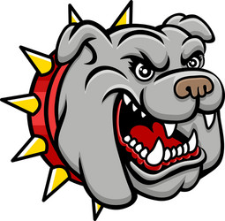 Bulldog Head Logo Vector Image