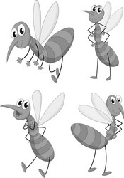 Mosquito in four different poses vector