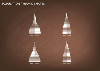 4 types of population pyramids graphs vector image