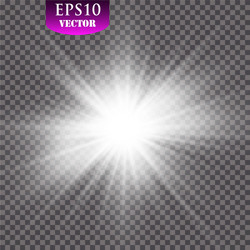 glow light effect starburst with sparkles vector image