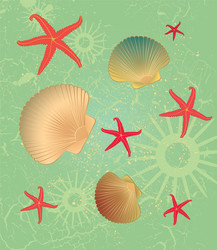 Seashells pattern background Royalty Free Vector Image