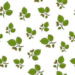 Hazelnut Tree Branch Pattern vector