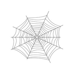 Image of the web net is a trap for insects vector