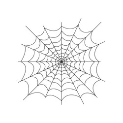 image of the spider web net is a trap vector