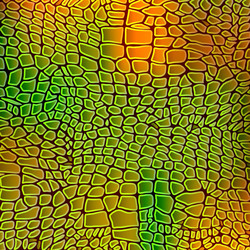 Snake Scale Texture - Reptile Pattern vector image