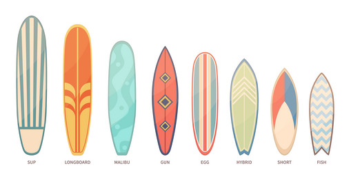 Set of isolated different types surfboards Vector Image