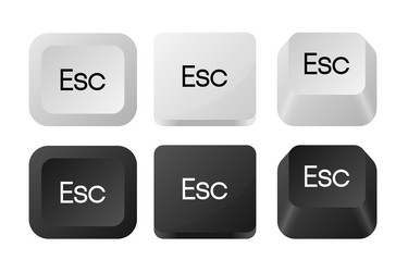 esc keyboard button icon of different types vector image